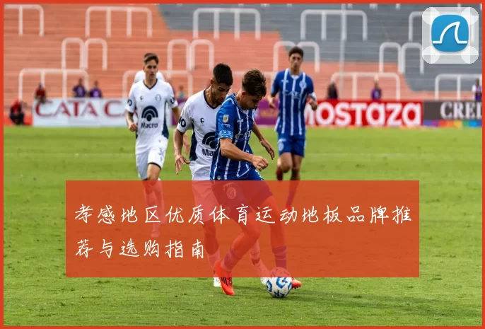 孝感地区优质体育运动地板品牌推荐与选购指南