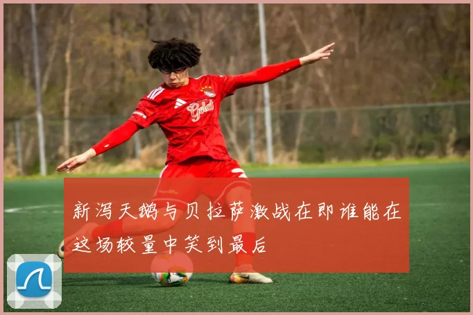 新泻天鹅与贝拉萨激战在即谁能在这场较量中笑到最后