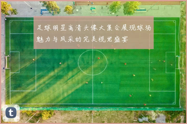 足球明星高清头像大集合展现球场魅力与风采的完美视觉盛宴